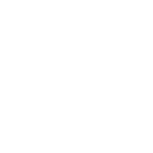 Icon Engraved Border (White on Transparent BG)